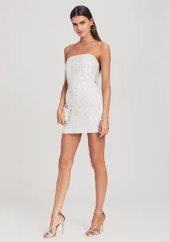 Cassandra Sequin Fringe Dress -Fashion Loft 211021 Set2 SHOT 14 0941 scaled