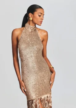 Renzo Sequin Crochet Dress -Fashion Loft Ecommerce Crop 230718 SET2 RENZODRESS 2441 ECOMM scaled