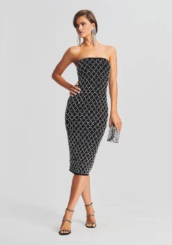 Minetta Embellished Chiffon Dress 9 Minetta Embellished Chiffon Dress -Fashion Loft Ecommerce Crop Retrofete eComm 220921 SHOT 69 5653 scaled